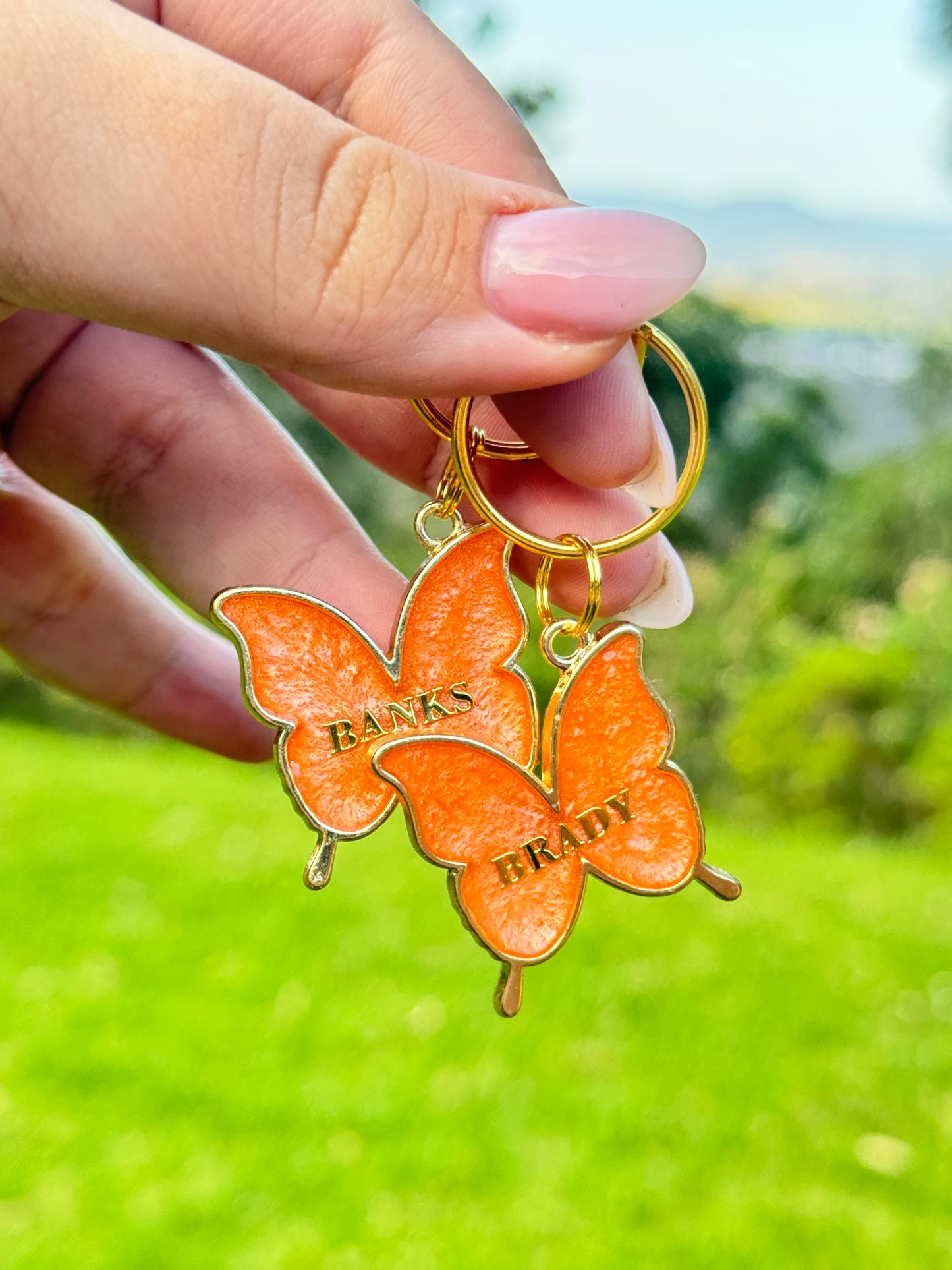 Butterfly Tag